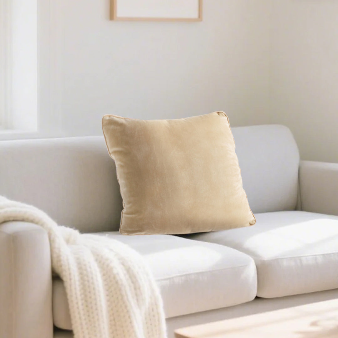 SOGA 45cm Velvet Pillowcase (Champagne Beige)