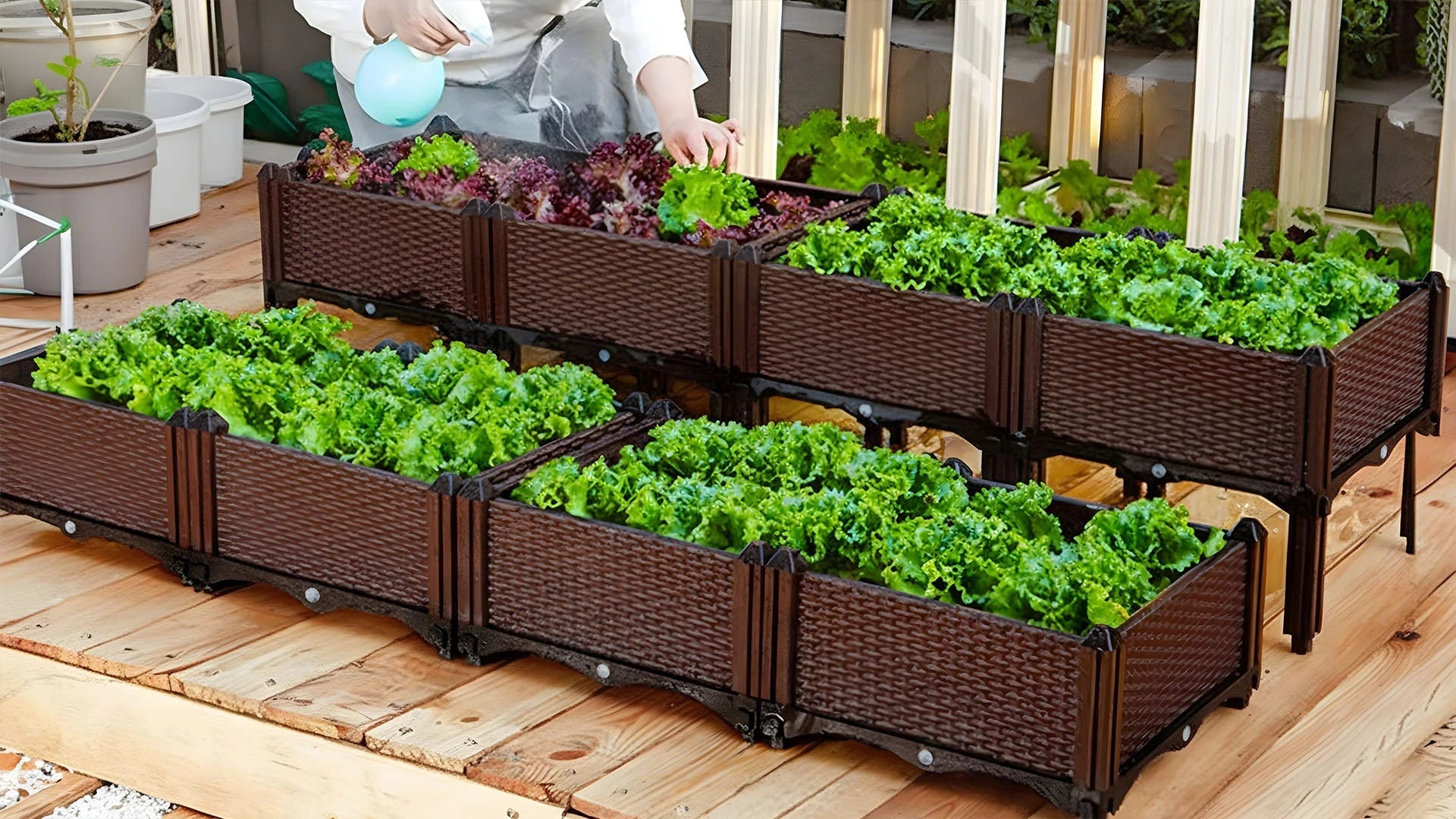 Plant Care, Box & Accessories