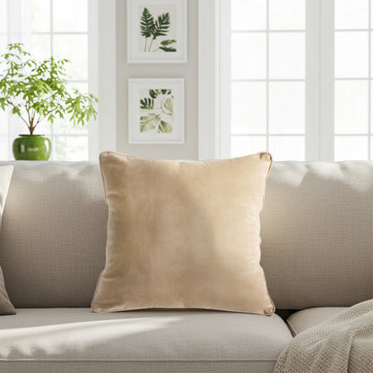 SOGA 45cm Velvet Pillowcase (Champagne Beige)