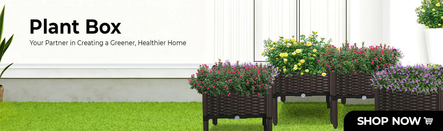 Plant Care, Box & Accessories